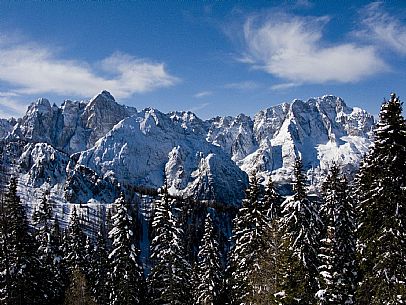 Snowy landscape 